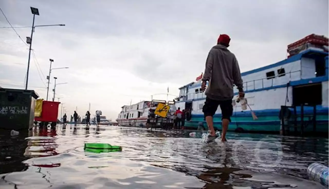 Siang Tadi Banjir Rob Rendam 1 Jalan dan 5 RT di Jakarta Utara