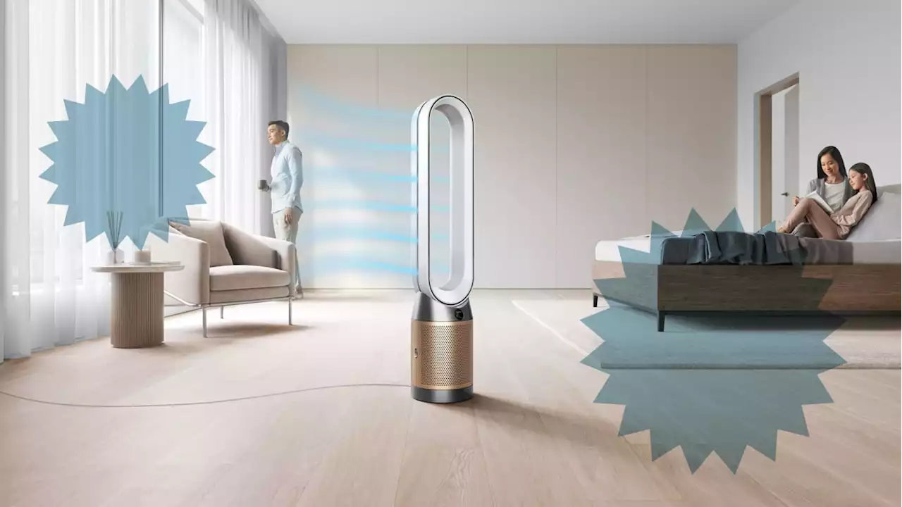 Allergy Season Is No Longer My Worst Nightmare Thanks to Dyson