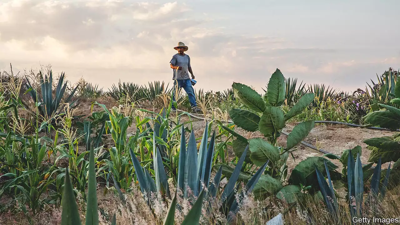 Mexico’s president wants to develop the poorer south