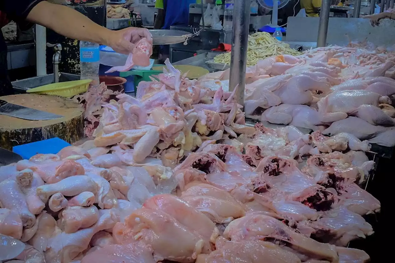 Ban imposed on chicken imports