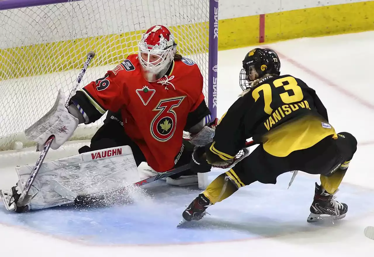 Toronto Six goalie Elaine Chuli keeps the net (and the books) clean