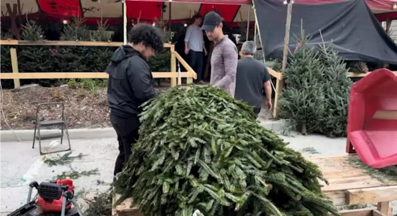 Despite inflation concerns, Jacksonville Black Friday shoppers flock to spend for the holidays