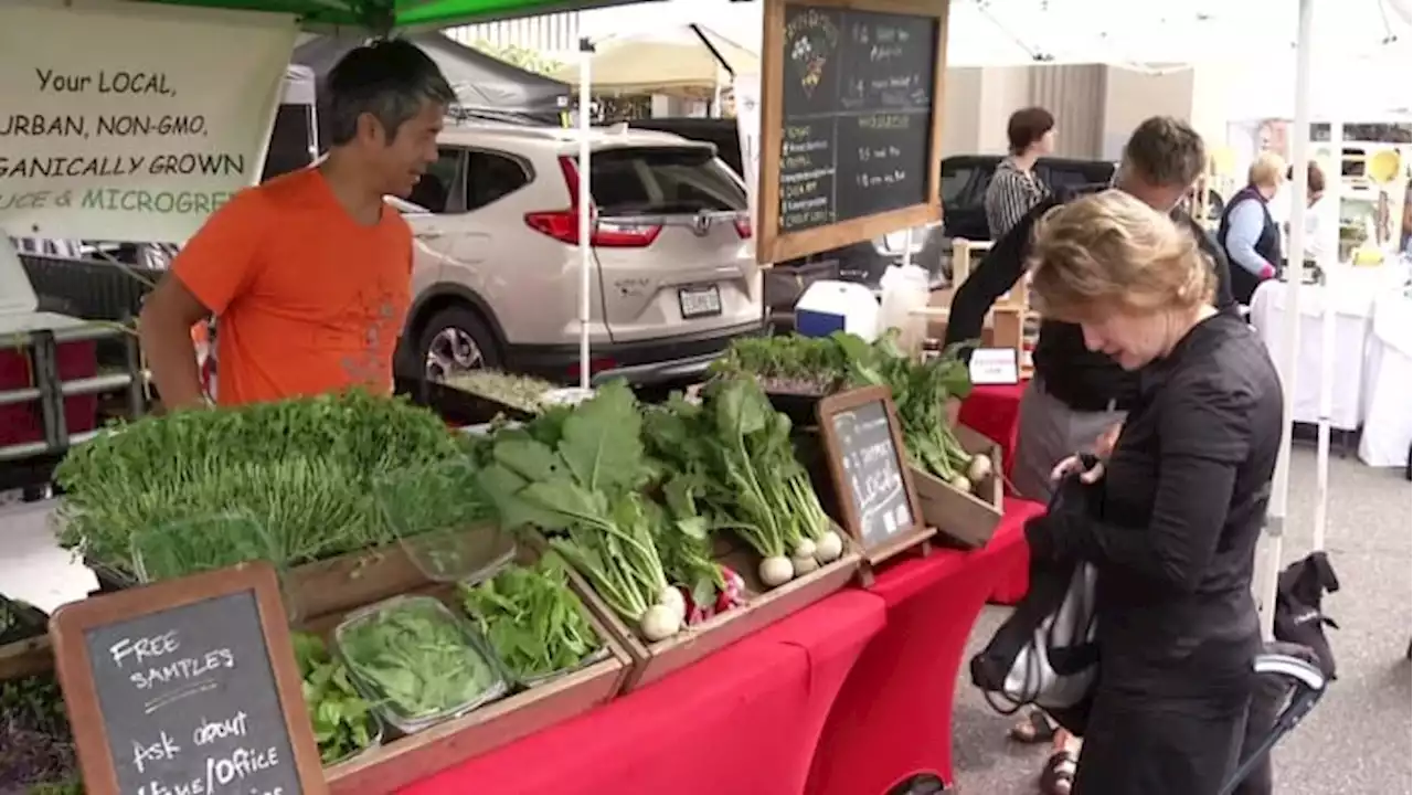 ‘Instead of competition, we can have a community’: Local business owners grateful for Small Business Saturday