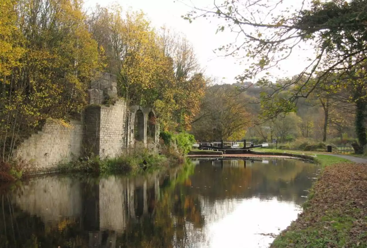 West Yorkshire walk - Elland Wood and Calder and Hebble Navigation