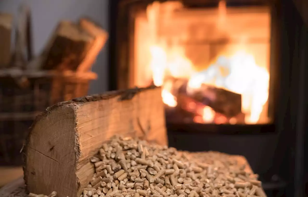 Des chèques bois énergie de 50 à 200 euros