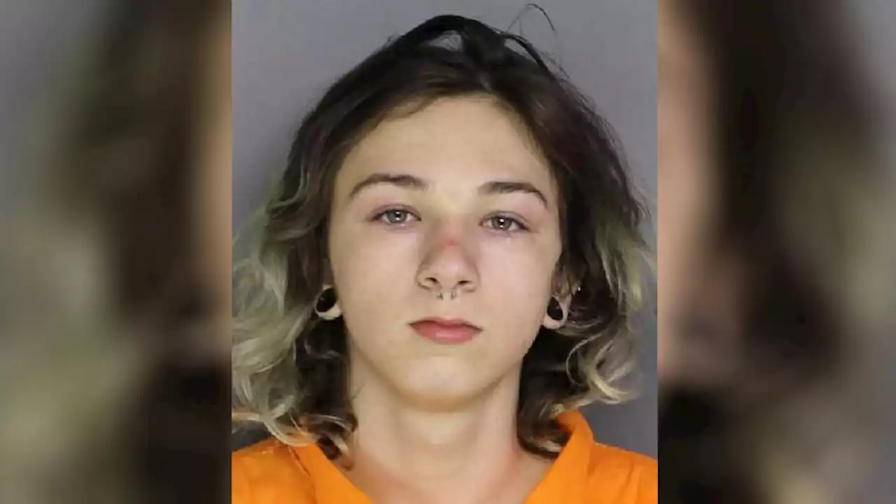 16-year-old confesses over Instagram to fatal shooting, Pennsylvania police say