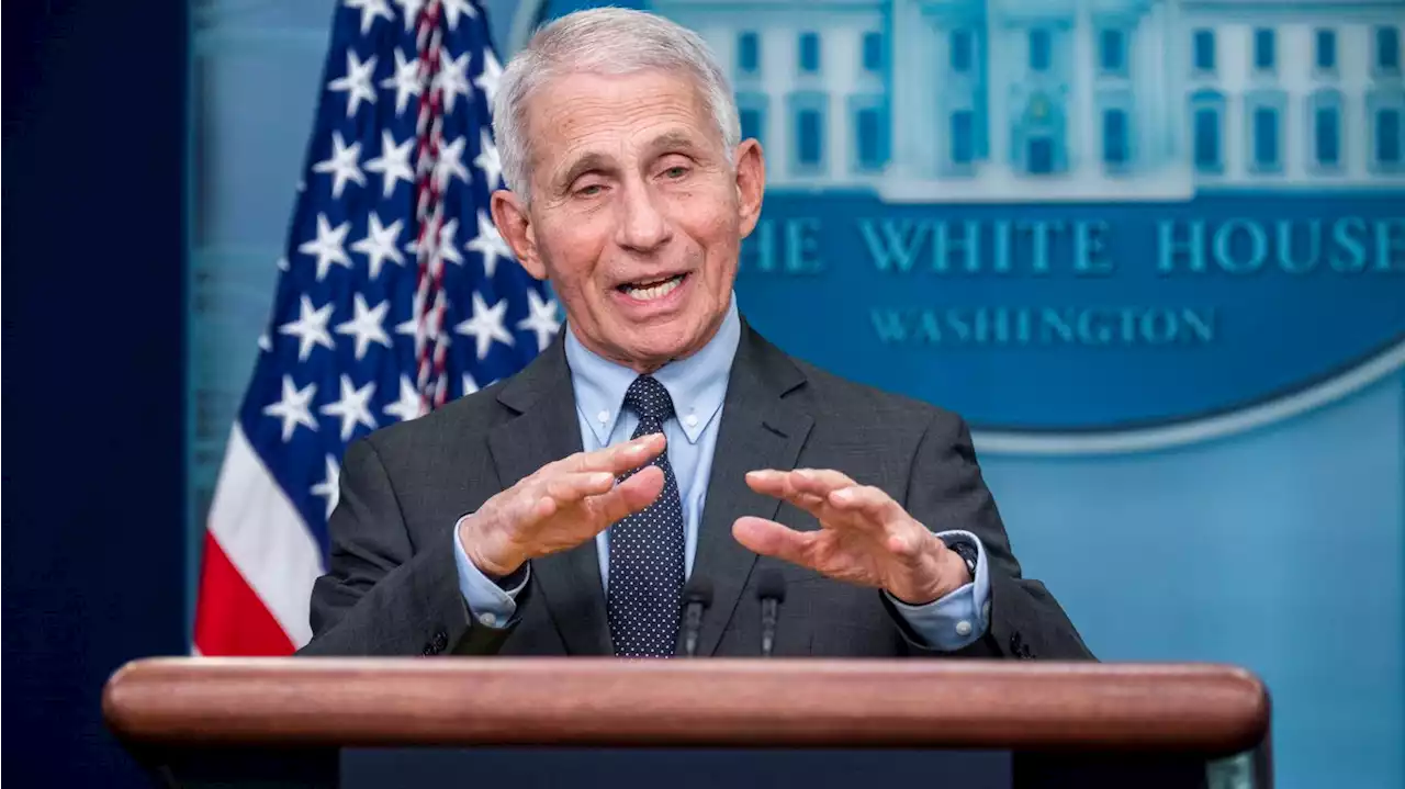 Anthony Fauci: RSV cases at 'critical' point, hopeful rates decline soon