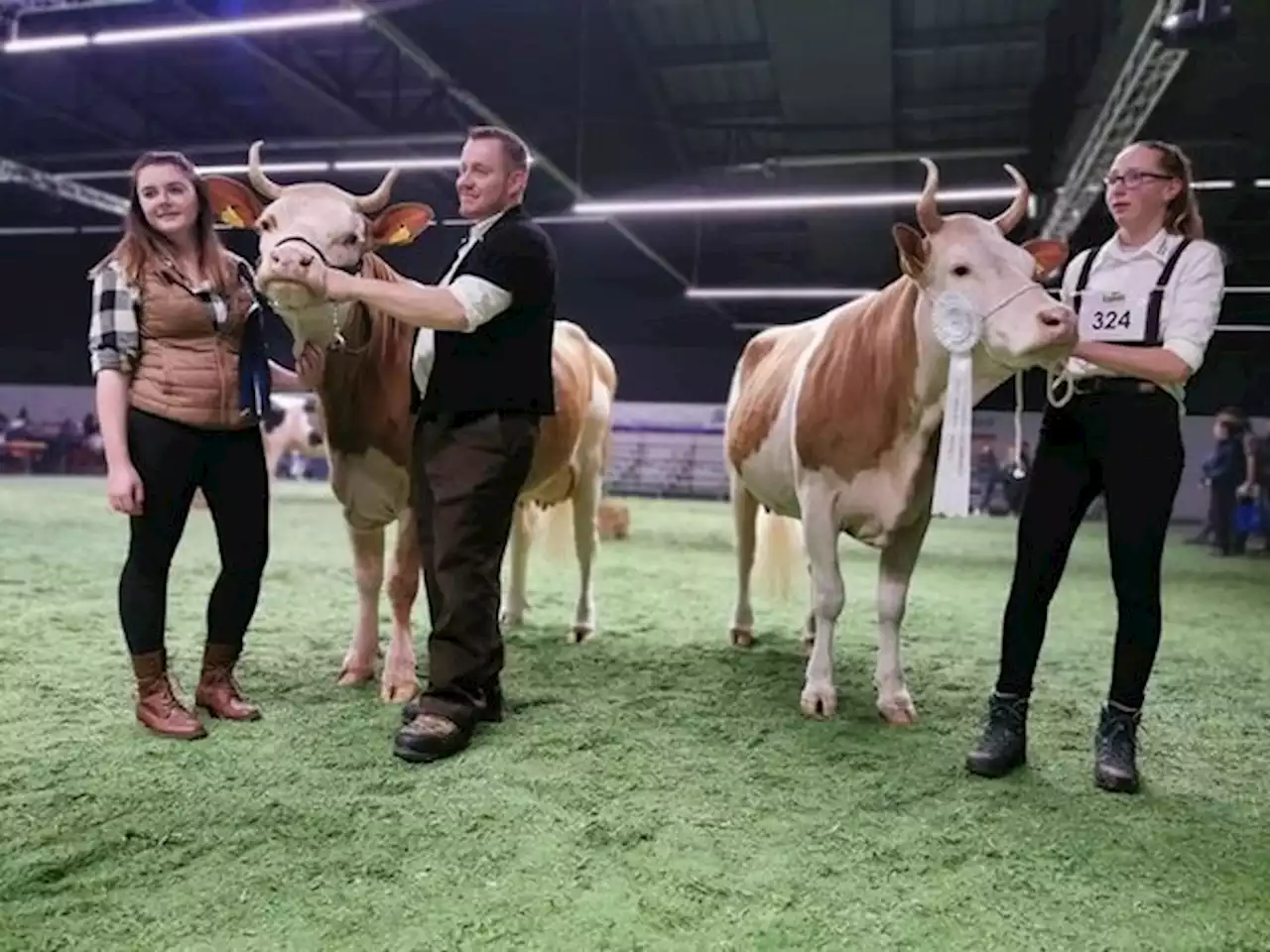 Die Berner Jungzüchter wählen an der Junior Expo ihre Missen - bauernzeitung.ch