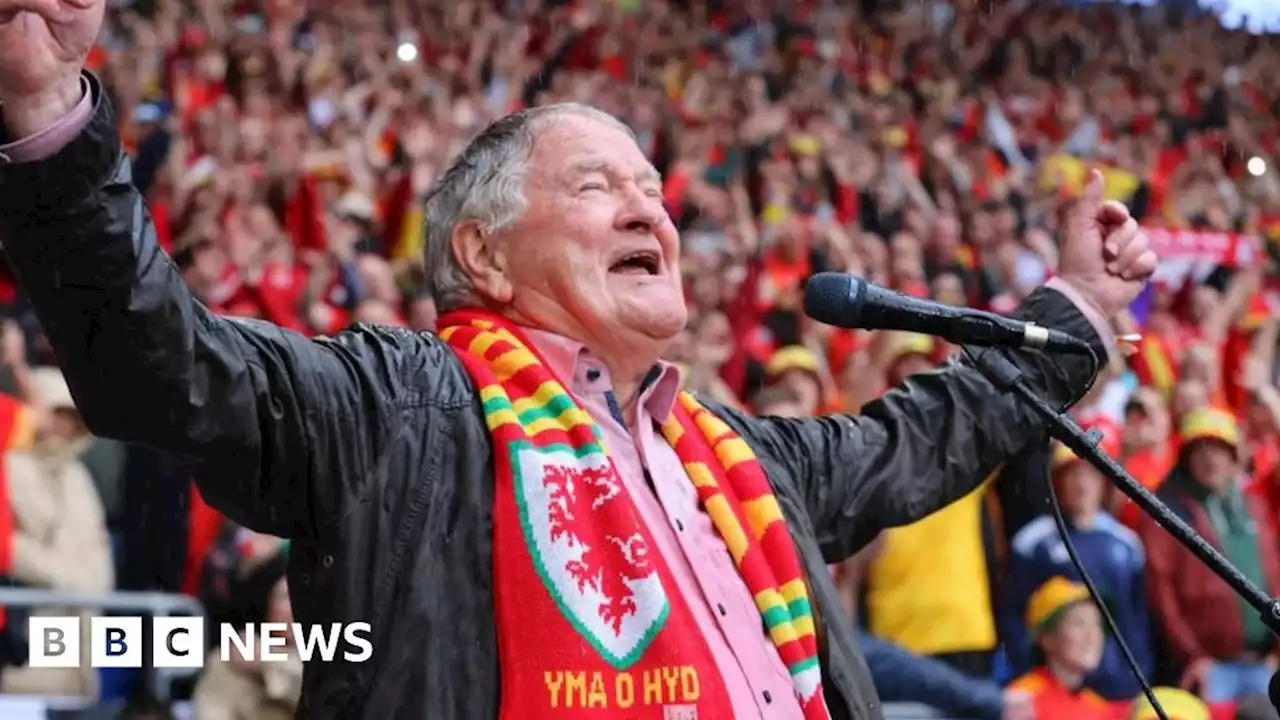 World Cup: Dafydd Iwan pays tribute to Wales fan