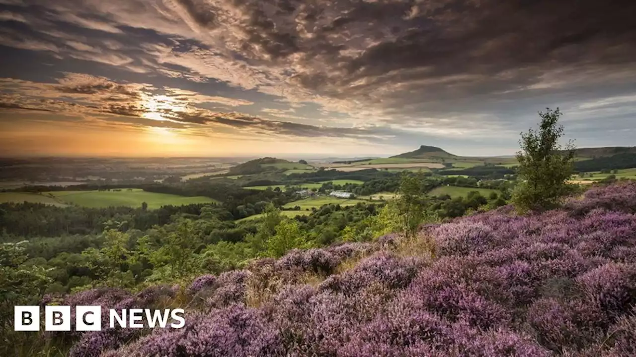 'Timeless': The North York Moors National Park celebrates 70 years