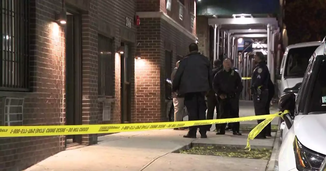 Police: 11-month-old, 3-year-old fatally stabbed in the Bronx, mother taken into custody