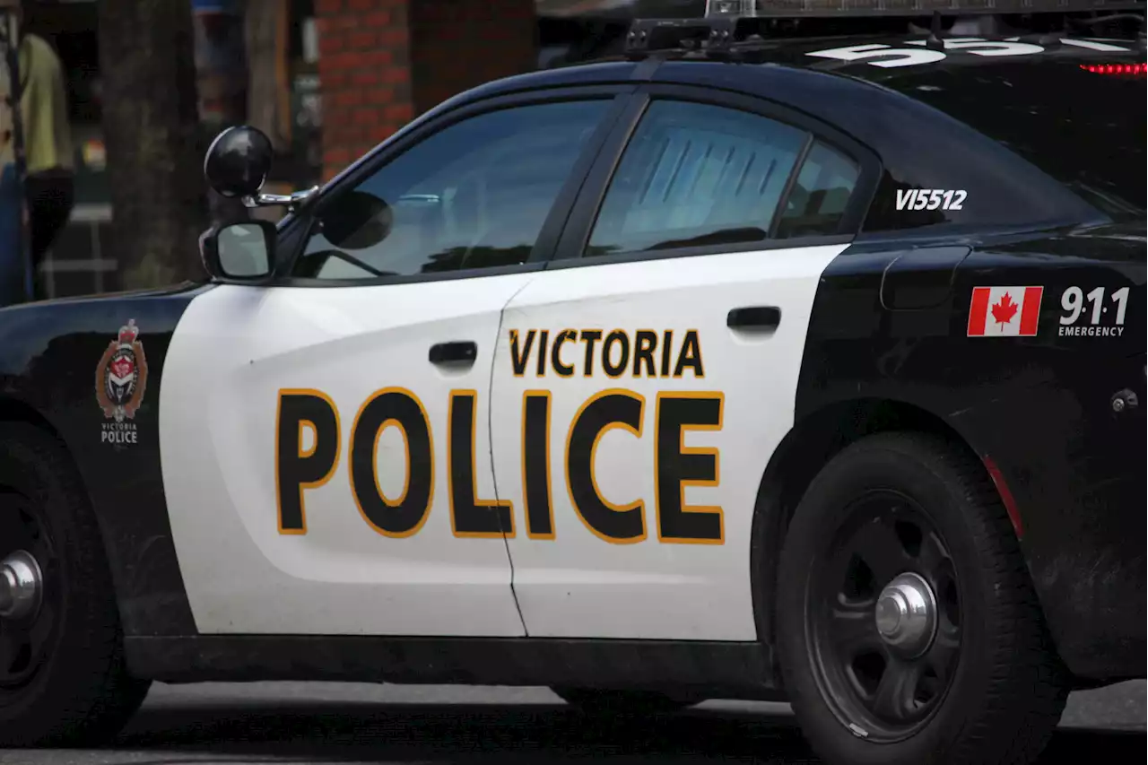 Man arrested, police officer injured after alleged assault at Victoria's Santa Claus Parade