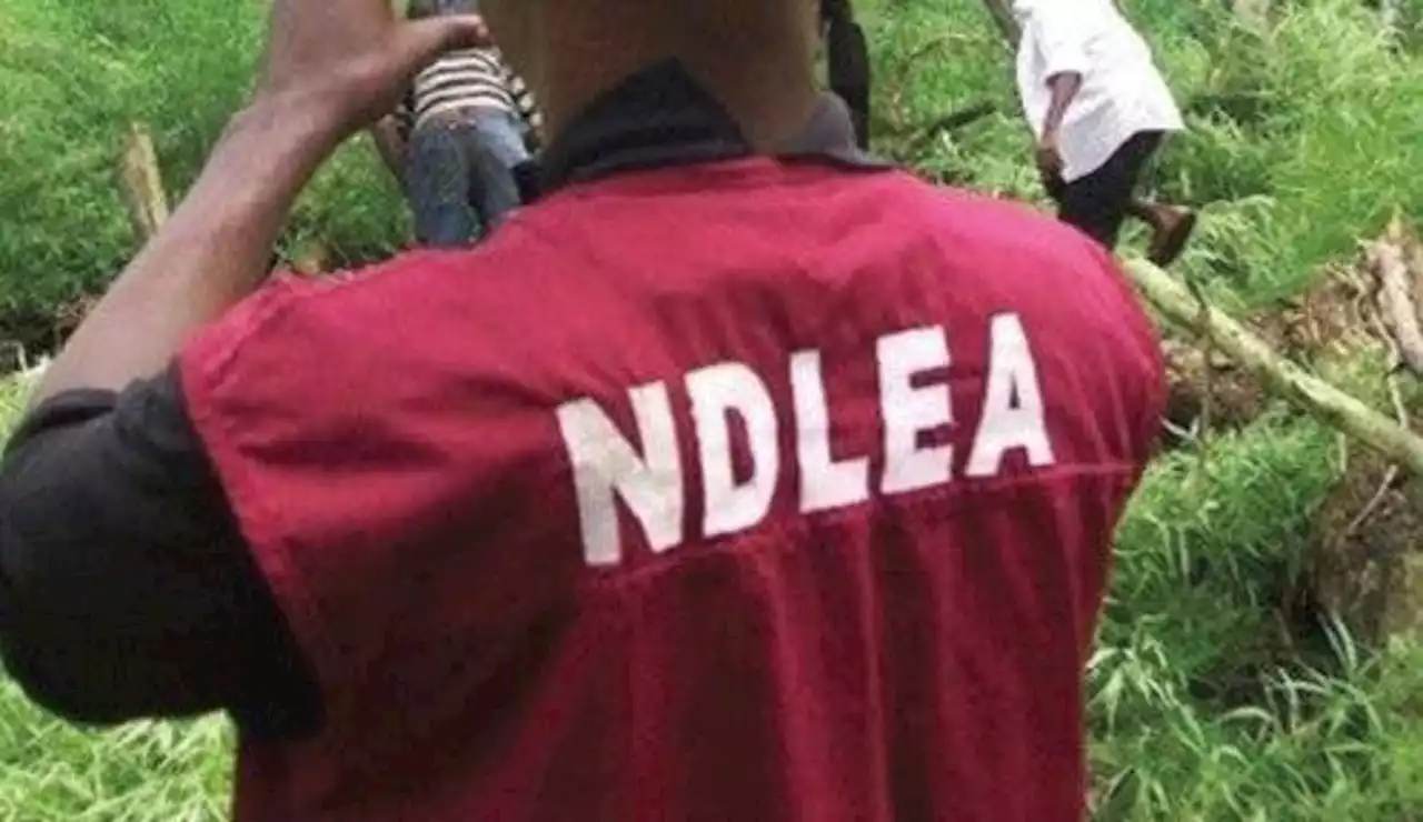 NDLEA apprehends Brazil returneee with 4kg cocaine in Abuja