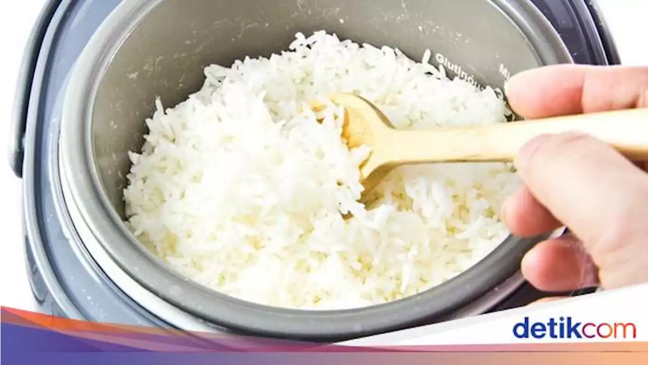 Bagi-bagi Rice Cooker Gratis Disebut Tak Ampuh Kurangi Pemakaian LPG 3 Kg