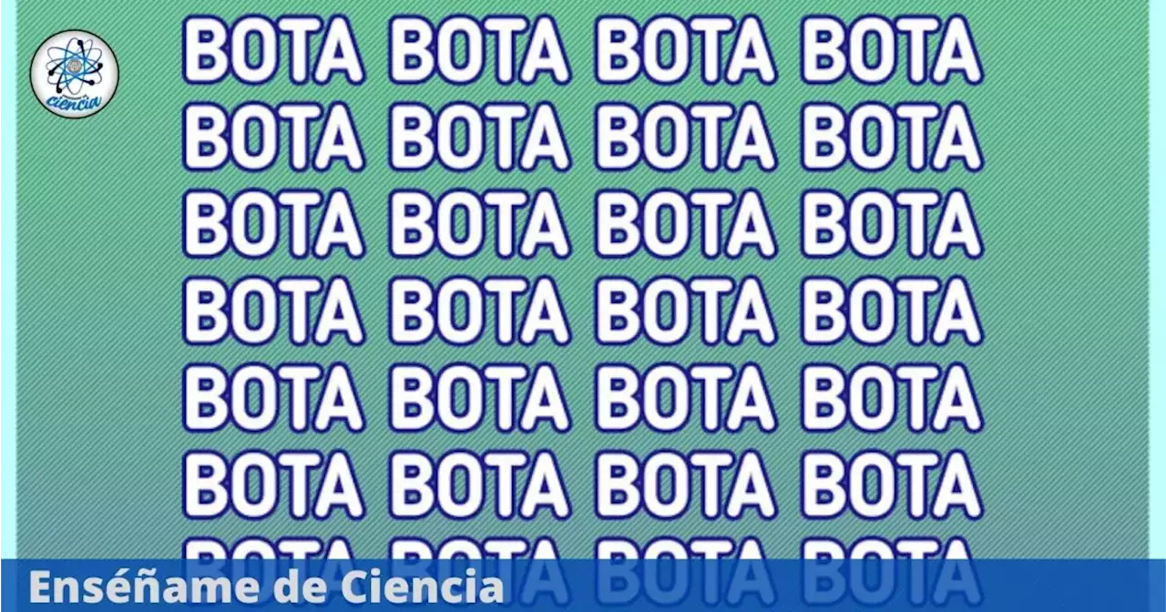 ¿Puedes ubicar “BOLA” en el menor tiempo posible? Son pocos los que han logrado superar el reto visual