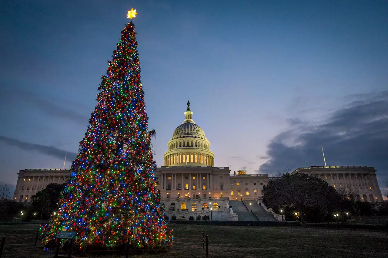 ‘Joy to the World’: What you may not know about your favorite Christmas carol