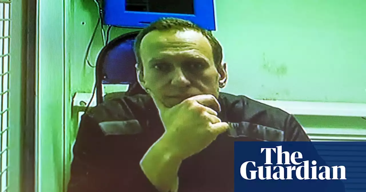 Alexei Navalny aide says his survival may depend on value to Vladimir Putin