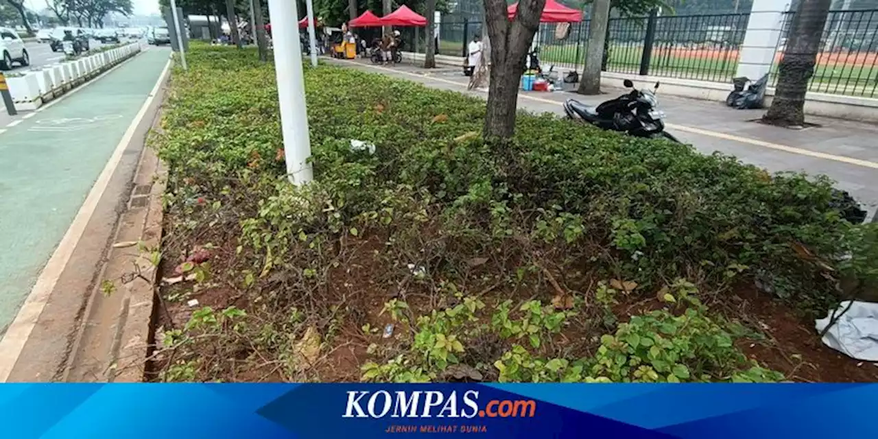 Sempat Dikabarkan Banyak Sampah, Begini Kondisi Area GBK Siang Ini