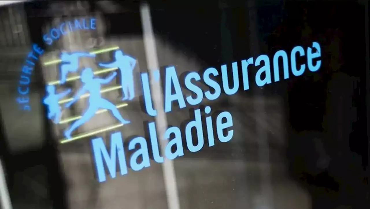 En arrêt de travail, elle amène son chien chez un éducateur canin : l'Assurance Maladie lui réclame plus de 9 000 euros