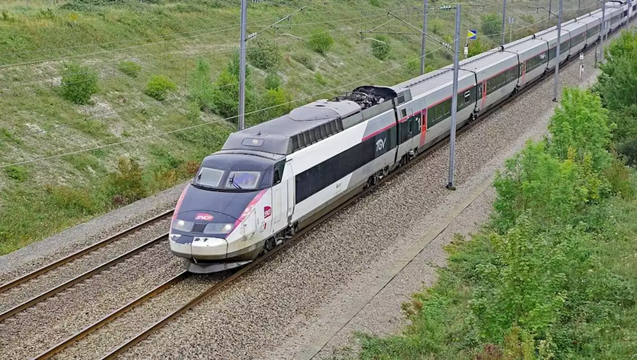 TGV : pourquoi la compagnie LeTrain ne se lancera pas sur les rails français avant 2024 ?