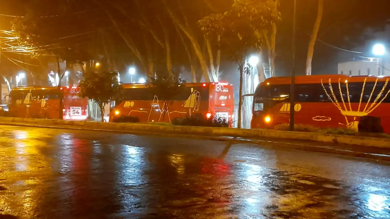 VIDEOS: Así fue el acarreo en autobuses para marcha ProAmlo en Xalapa