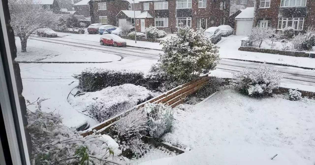 Leeds Christmas Day weather 2022 as Met Office predicts if it will snow