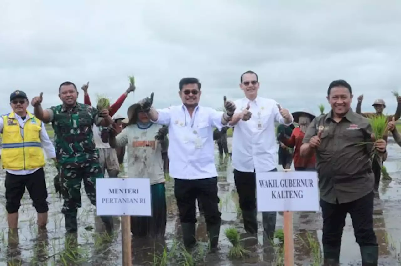 Perkuat Produksi, Mentan SYL Kawal Gerakan Tanam di Food Estate Kapuas