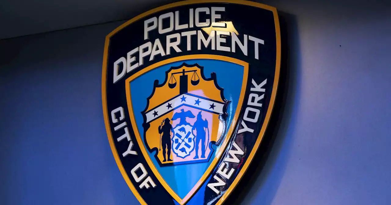 Baby and 3-year-old stabbed to death in Bronx apartment, police say