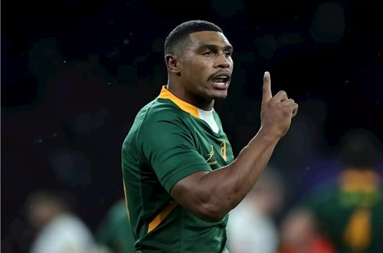 Bok ratings: Damian dazzles as England dumped | Sport