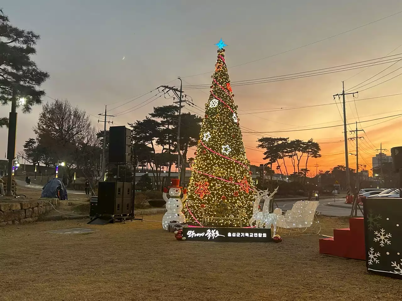 [사진] 성탄절 앞두고 불 밝힌 크리스마스 트리