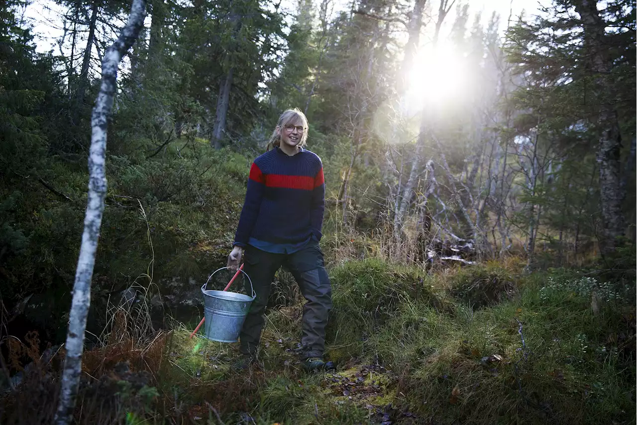 Sofie lever drömmen i stuga utan vatten och avlopp – nu kan lugnet försvinna