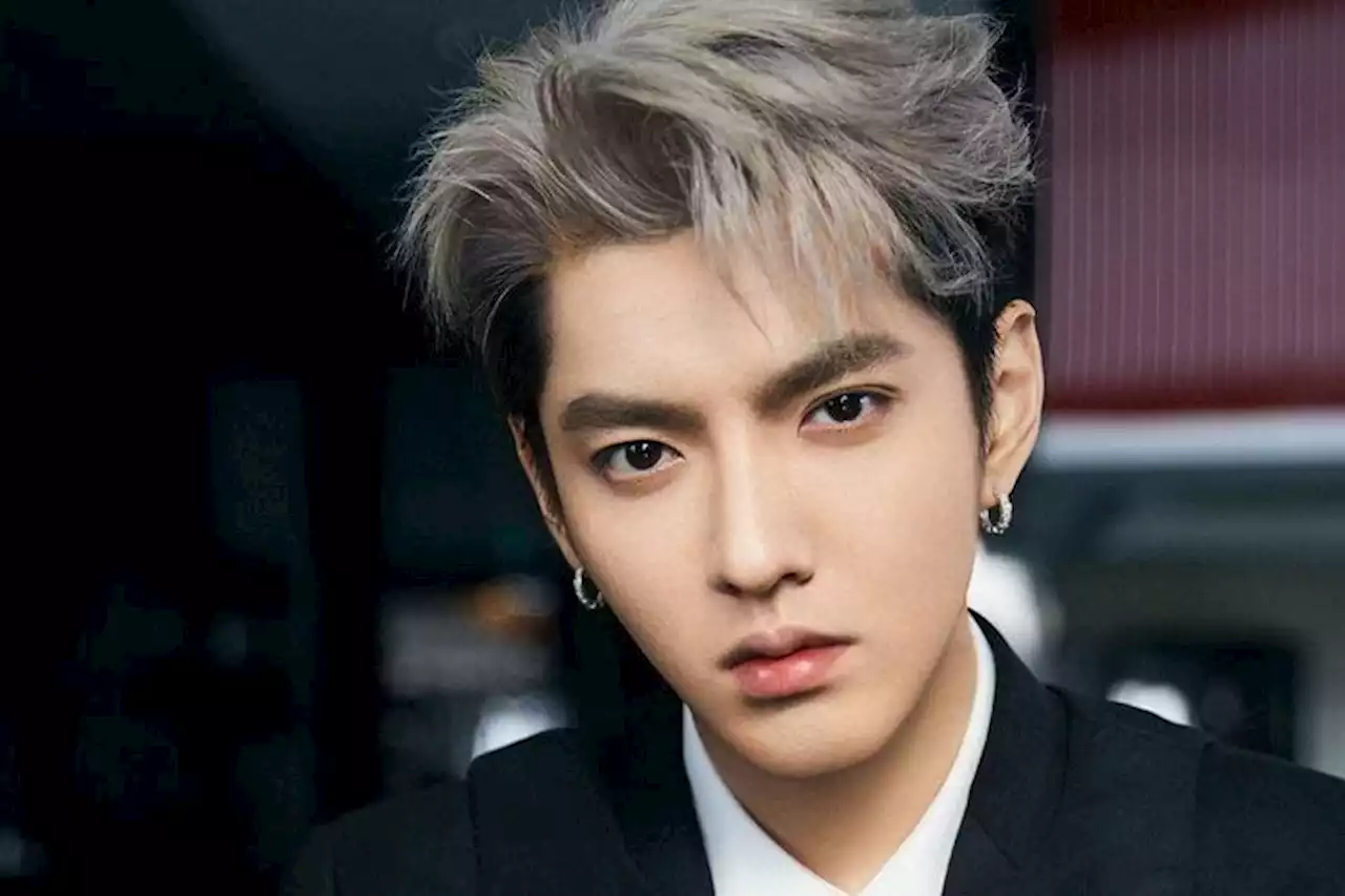 Eks Member Boyband EXO Divonis 13 Tahun Penjara, 2 Kejahatan Jadi Penyebabnya - Pikiran-Rakyat.com