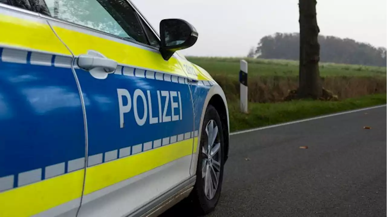 Auto fährt gegen Baum - zwei Menschen sterben