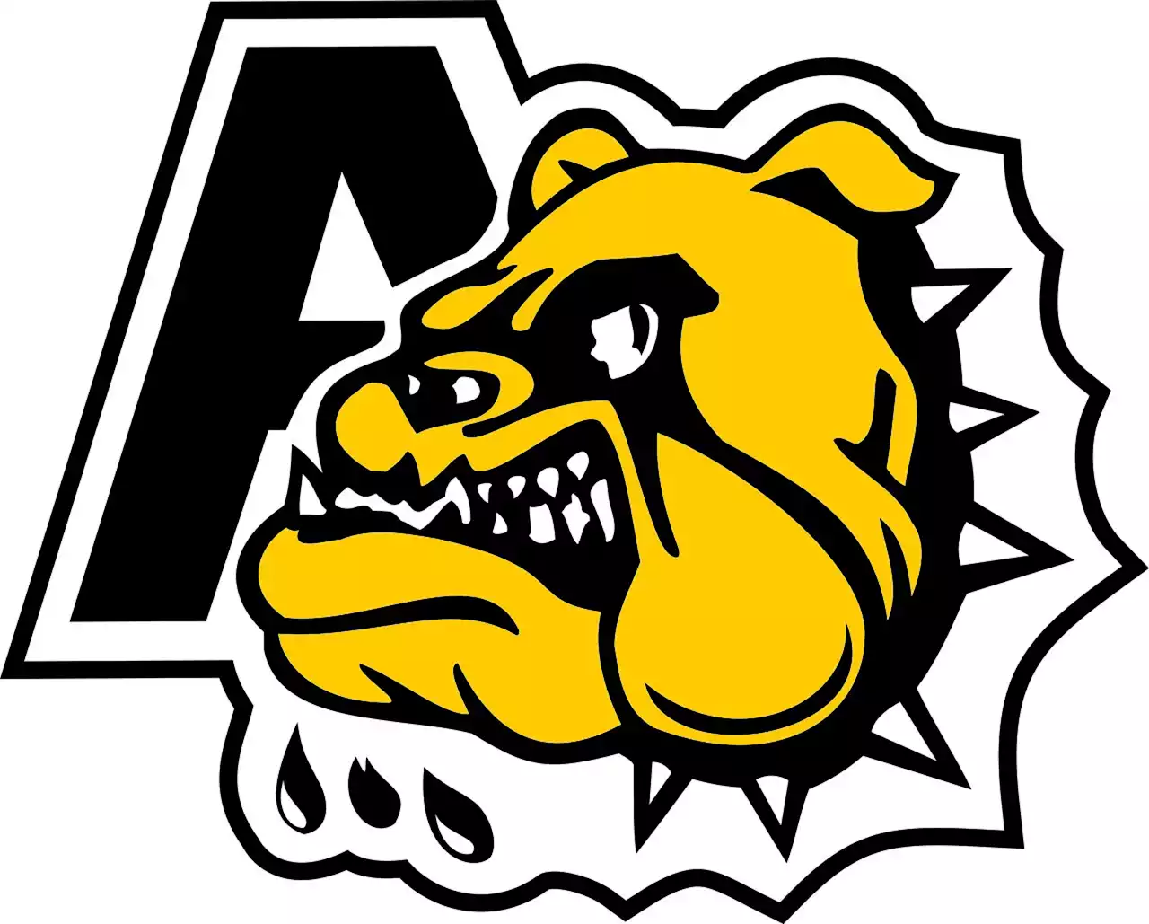 Antigonish Bulldogs defeat Strait Pirates on the road in Port Hawkesbury Friday | SaltWire