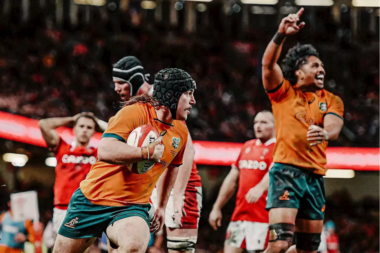 Write off Wallabies at own peril