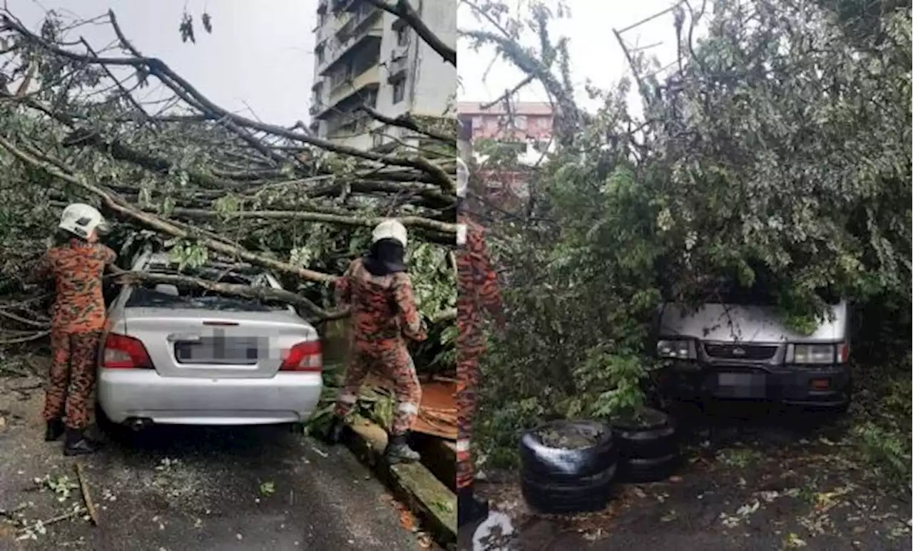 Storm leaves four vehicles crushed by trees in Pandan Jaya