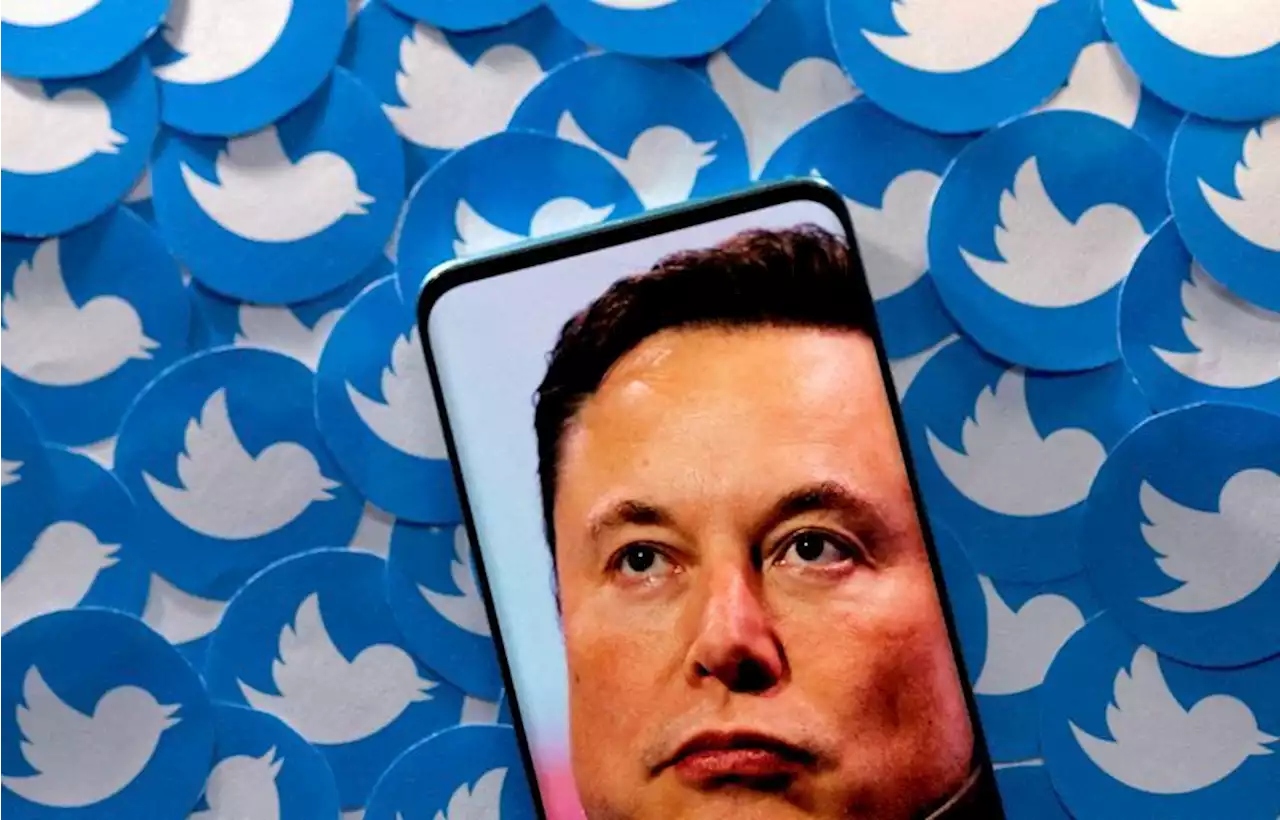 Twitter CEO Musk says user signups at all-time high, touts features of 'everything app'