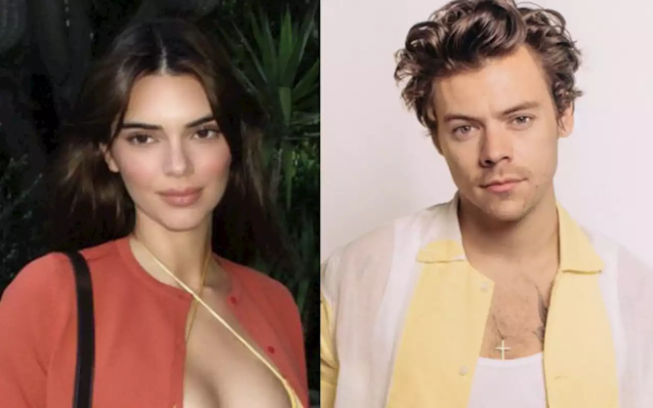 Kendall Jenner Is Reportedly Talking To Ex Harry Styles Following Split From Devin Booker | Stellar