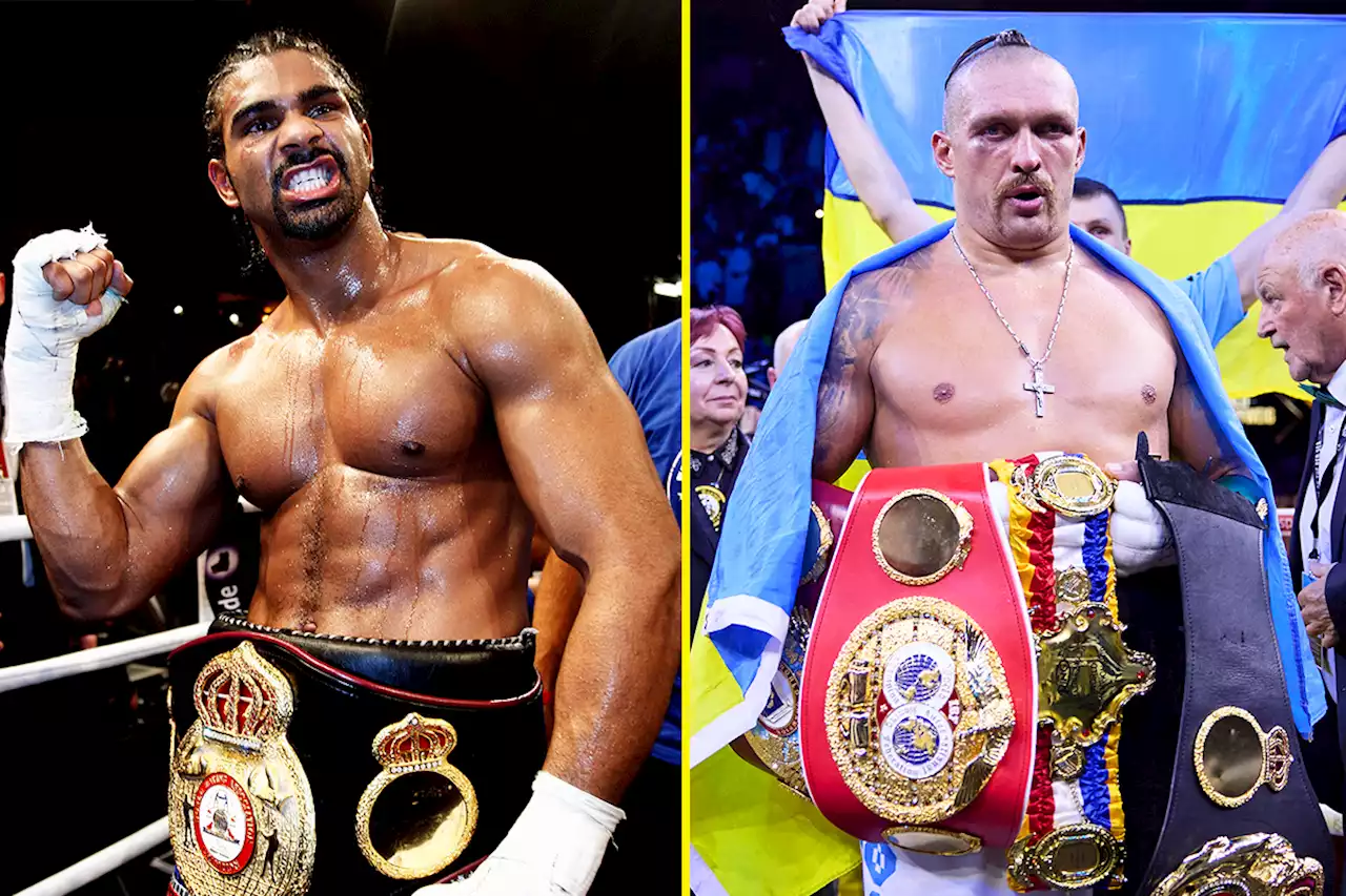 David Haye believes he would have stopped Oleksandr Usyk if they fought