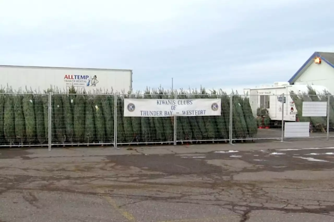 Kiwanis Club Christmas Tree Lot Fundraiser open for the season