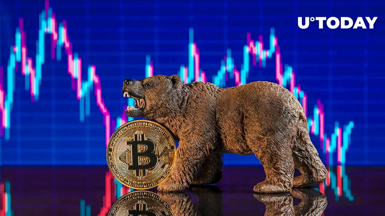 Most Americans Turn Extremely Bearish on Bitcoin