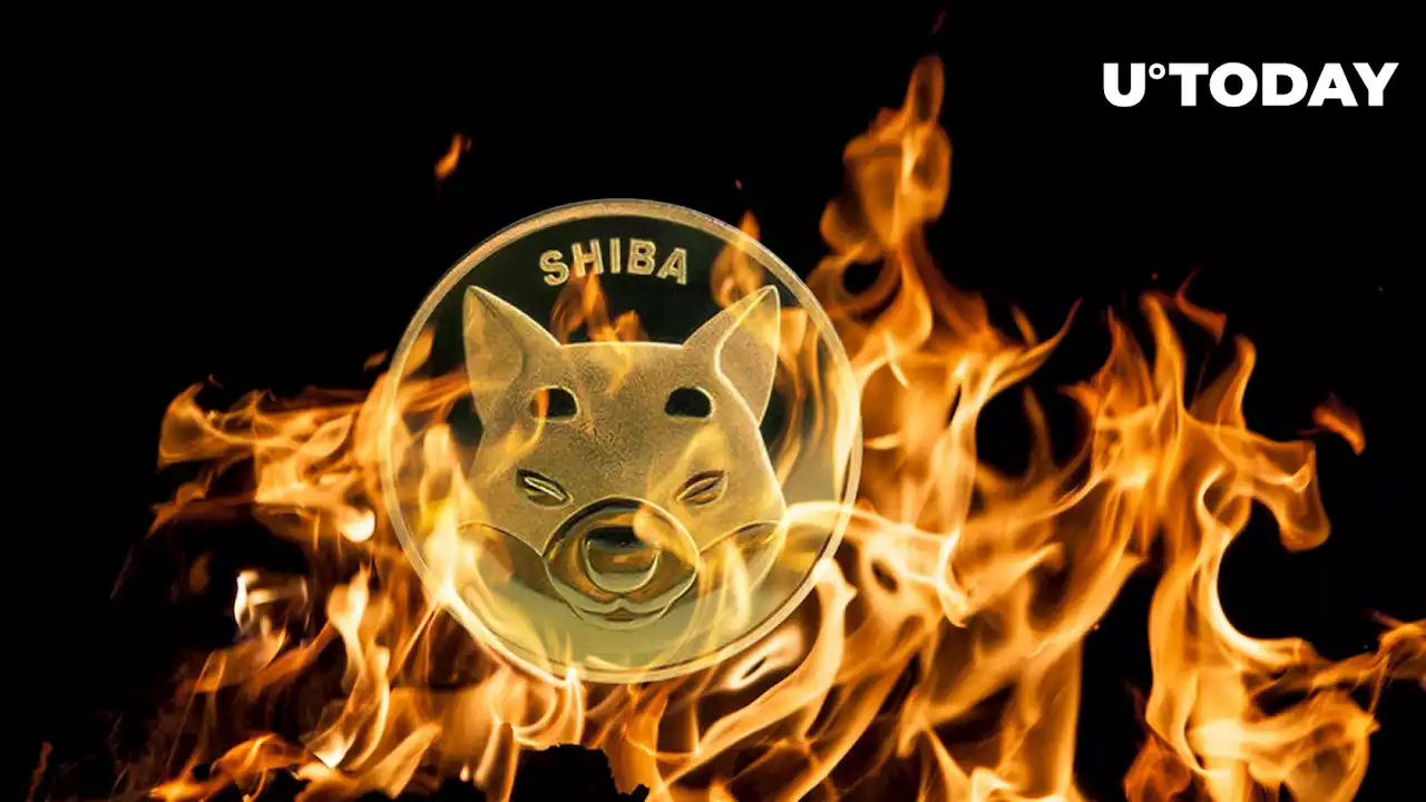 Shiba Inu Sees Nearly 100% Weekly Burns, What's Next on SHIB Price?