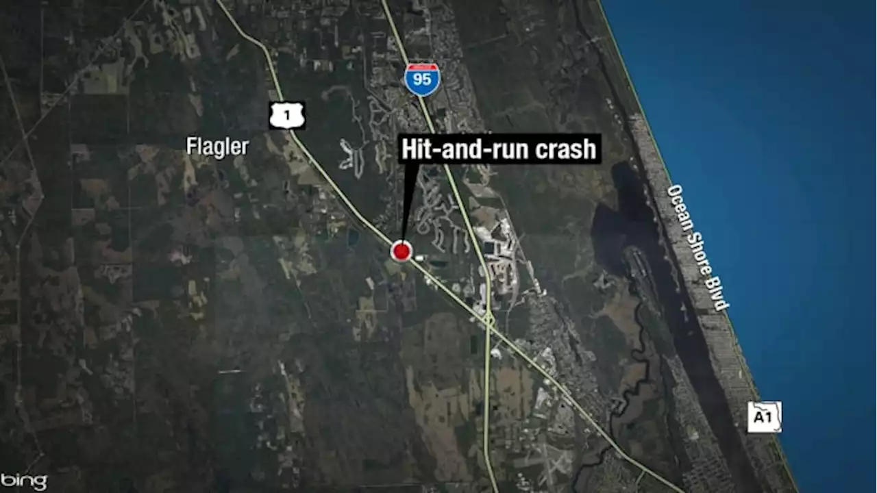 Woman, 51, killed in hit-and-run on US 1 in Flagler County: FHP