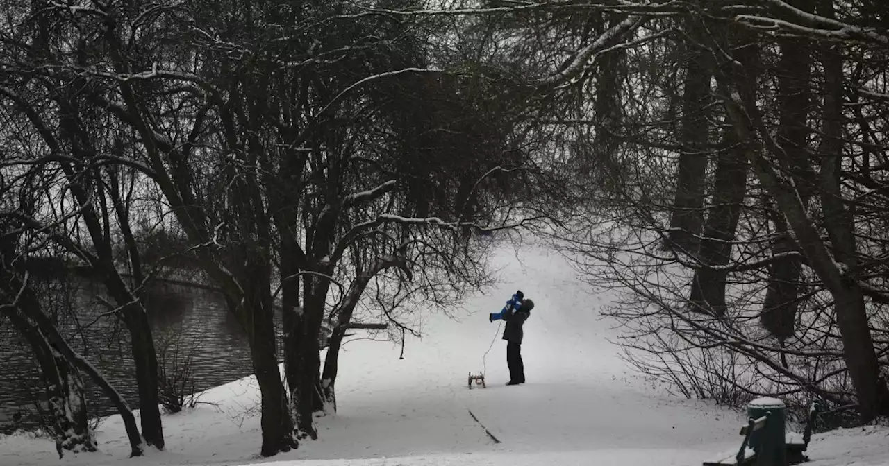 Local kids remain outdoors during winter thanks to Camptown programs