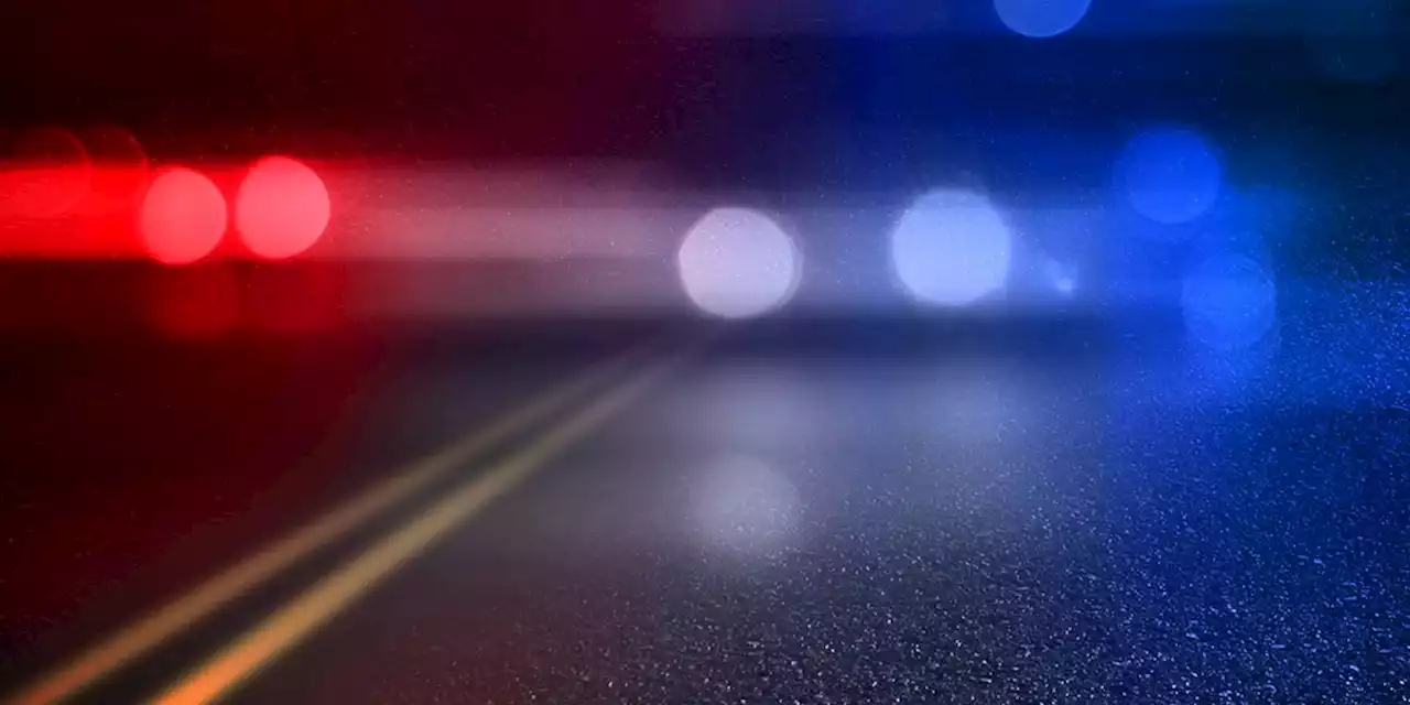 Man dies after single-vehicle crash in Elmore County