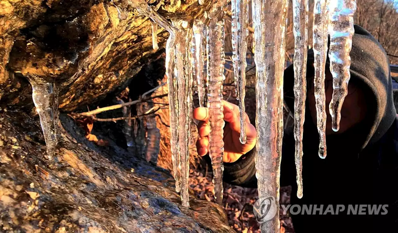 내일 전국에 꽤 많고 세찬 비…이후 '한파경보'급 강추위 | 연합뉴스