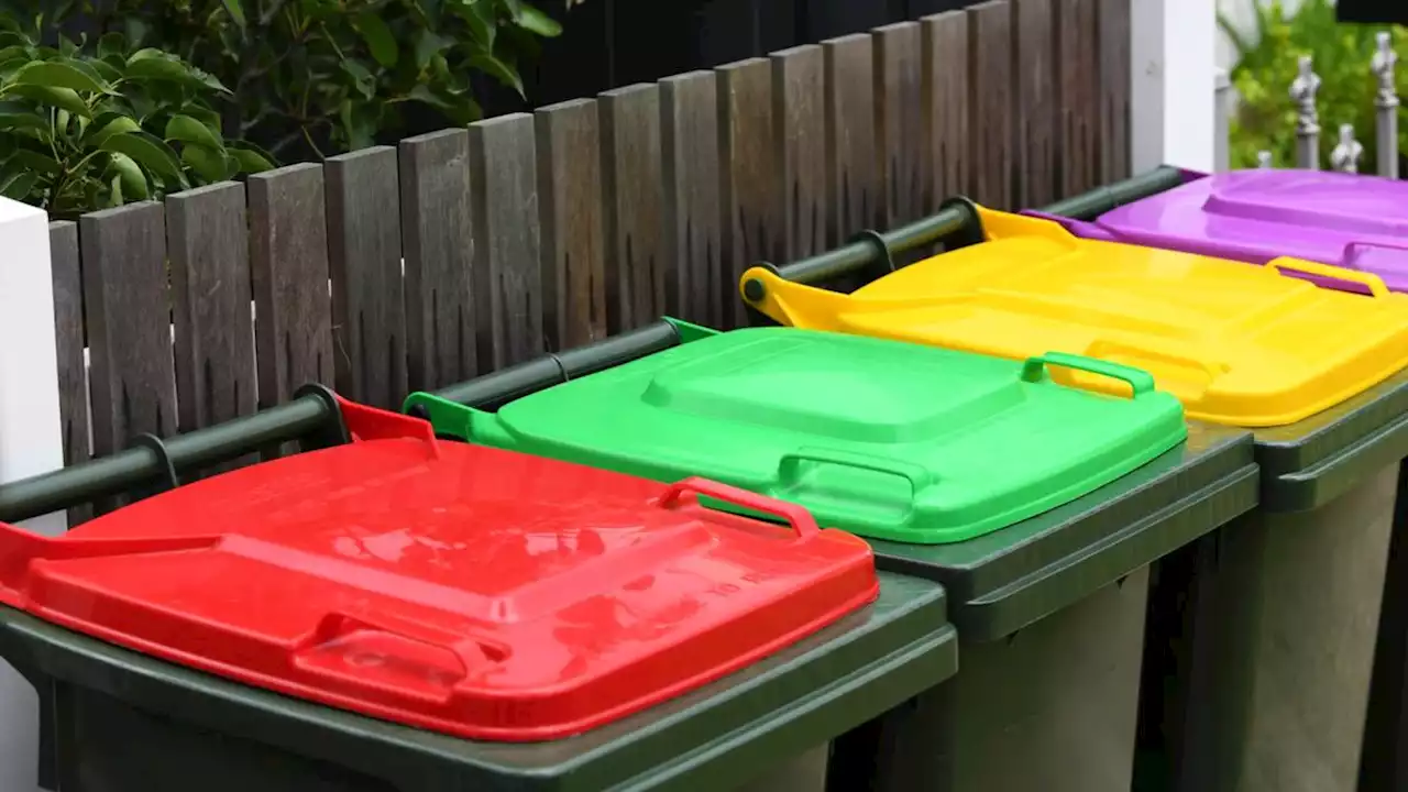 Witnesses’ grim find among rubbish bins out for collection on Melbourne nature strip