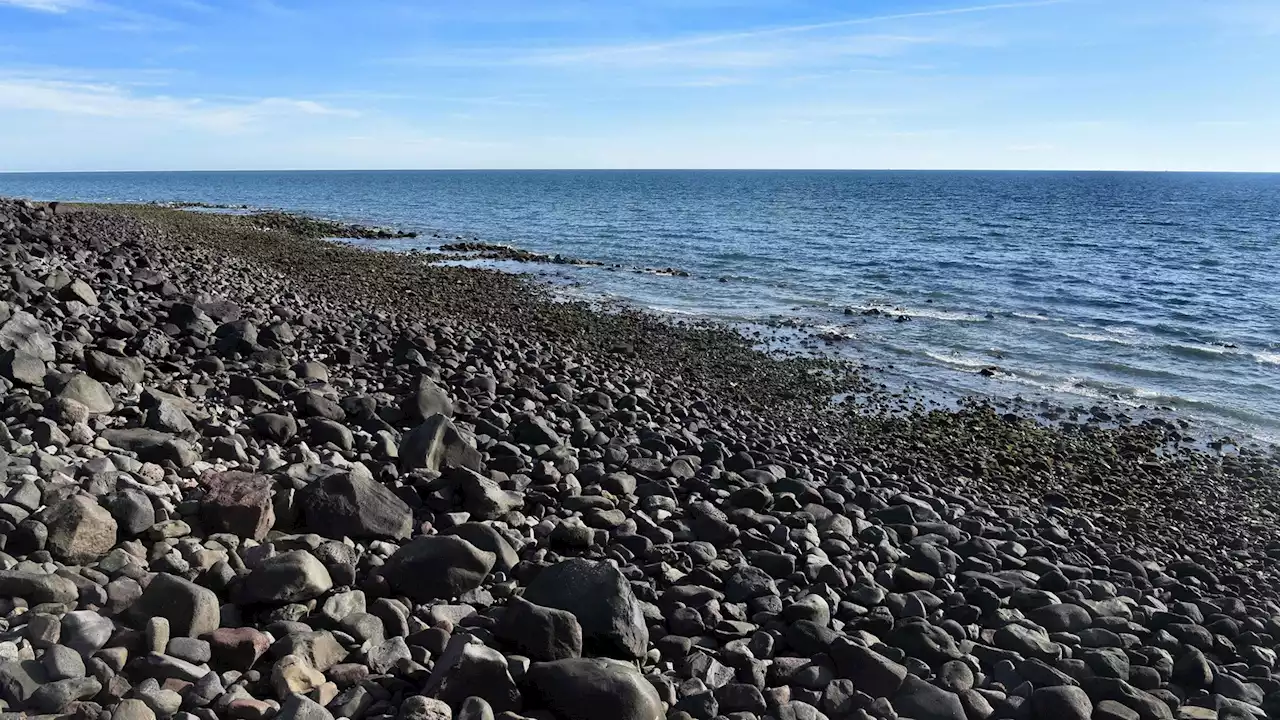 Authorities search for 2 missing Americans after vanishing while kayaking off coast of Mexico