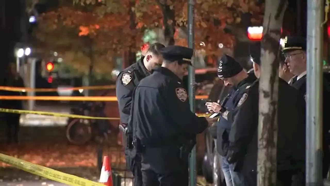 Homeless man shot in head outside Chelsea NYCHA houses dies from injuries