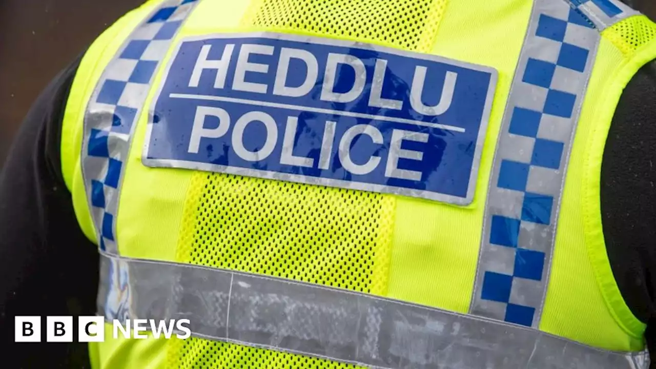 Bridgend: Three arrested after bodies of two babies found